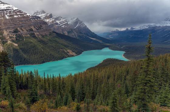 Peyto Lake 2 Peyto Lake in Banff National Park