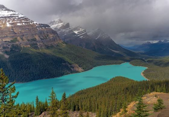 Peyto Lake 3 Peyto Lake in Banff National Park
