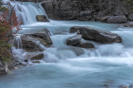 Nigel Creeek 2 Nigel Creek near Icefields Parkway in Banff National Park