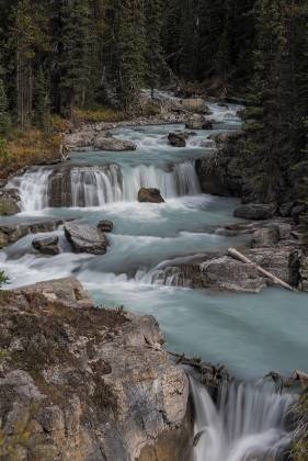 Nigel Creek Cascades 1 Nigel Creek near Icefields Parkway in Banff National Park