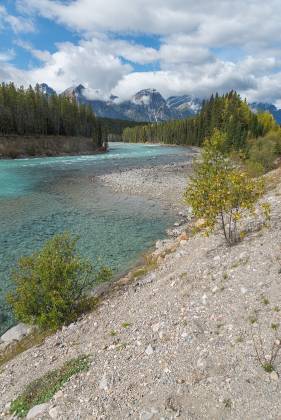 Athabasca River 8 The Athabasca River seen from Icefields Parkway in Jasper National Park