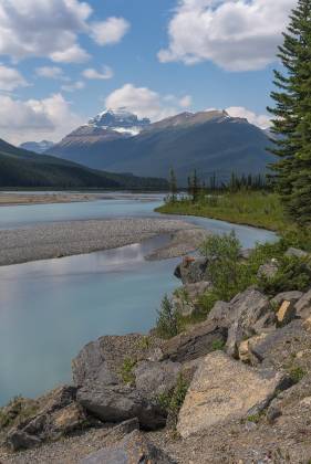Saskatchewan River 3 View of the Saskatchewan River in Banff National Park