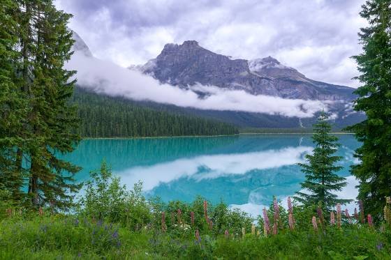 Emerald Lake 1 Emerald Lake Viewed from the Emerald Lake Loop Trail in Joho National Park