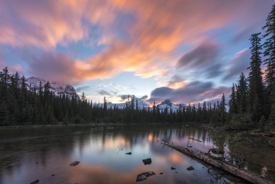 Odaary and Cathedral Mountains at sunset Cathedral Montain and Odaray Mountain at sunset seen from Little Lake O'hara in Yoho National Park