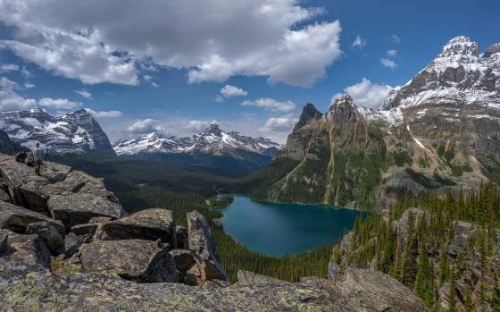 Opabin Prospect 3 Lake O'hara see from Opabin Prospect in Yoho National Park