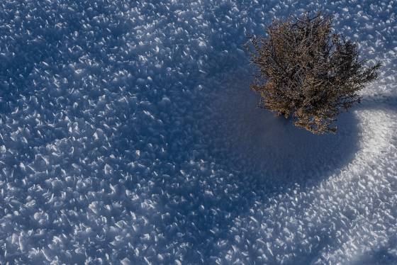 Ground Hoar Frost Ground Hoar Frost along the Mesa Arch trail in Canyonlands National Park.