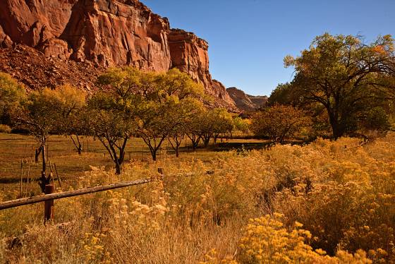 Scenic Road 2 Scenic Drive Orchard in Capitol Reef National Park