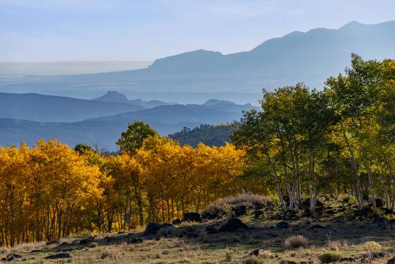 Aspens on Boulder Mountain Aspen changing color on Boulder Mountain Utah in early October