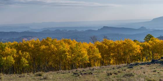 Boulder Mountain Panorama Aspen changing color on Boulder Mountain Utah in early October