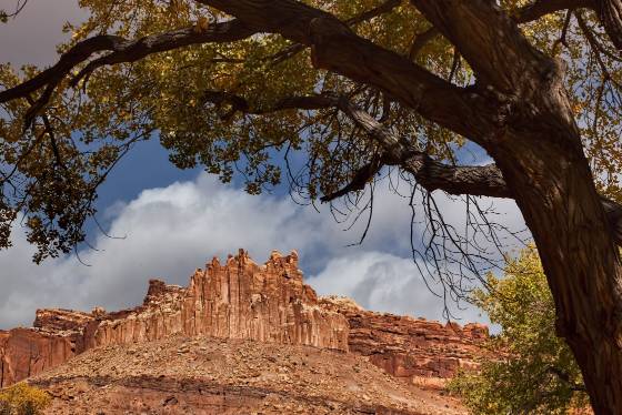 The Castle The Castle in Capitol Reef National Park