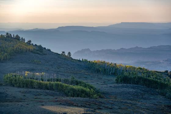 Early Morining Fog Aspen changing color on Boulder Mountain Utah in early October