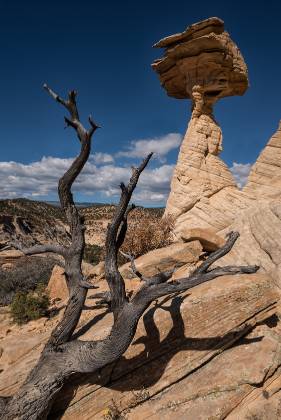 Balancing Rock 2 Balancing Rock Hoodoo in Boulder, Utah