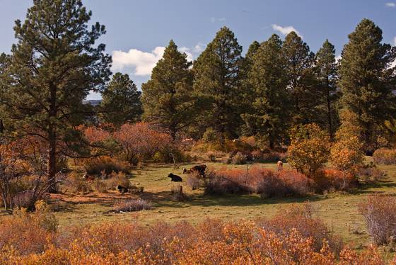 Ranch near Boulder Ranch near Boulder, Utah