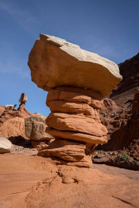 Hoodoos 12 Hoodoos of Dakota Caprock over Entrada Sandstone in Pedstal Alley near the Burr Trail in Utah.