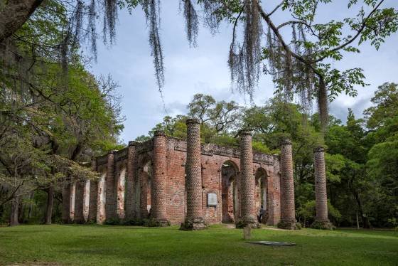 Old Sheldon Church 4 Vines framing Old Sheldon Church near Charleston, South Carolina