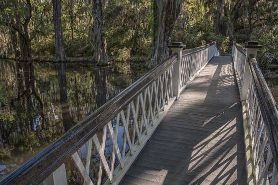 Foot Bridge Foot bridge at Magnolia Gardens near Charleston, South Carolina