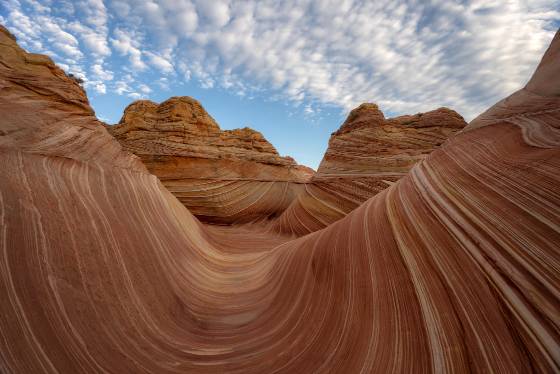 The view West Classic shot of The Wave in Coyote Buttes North, ARizona facing west.