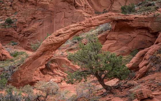 Dicks Arch 3 Dicks Arch in Coyote Buttes North, Arizona