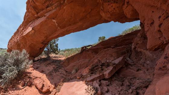 Moby Dick Arch Moby Dick Arch, a large arch in Coyote Buttes North, best at sunrise shot from other side