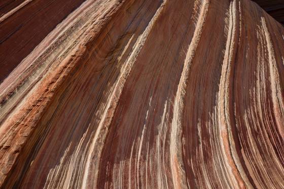 Pattern 8 Sandstone pattern at The Wave in Coyote Buttes North, Arizona