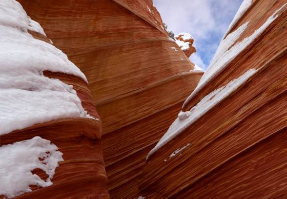 Snowy Wave Snow at The Wave in Coyote Buttes North, Arizona