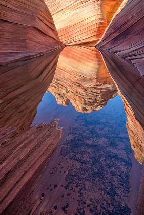 Water at The Wave Looking south at a reflection in a water pool at The Wave in Coyote Buttes North, Arizona