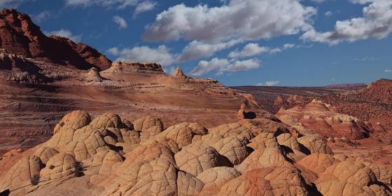 Brain Rock aka Cauiiflower Rock Brain Rock just north of The Wave in Coyote Buttes South, Arizona