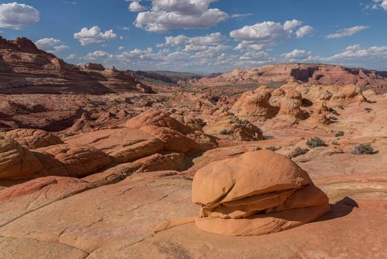 Half a Hamburger Half a Hamburger Rock near The Wave in Coyote Buttes North, Arizona