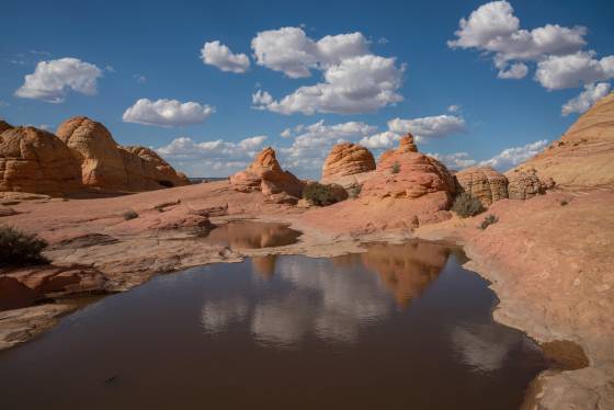 Water Pools 2 Water Pools south of The Wave in Coyote Buttes North, Arizona