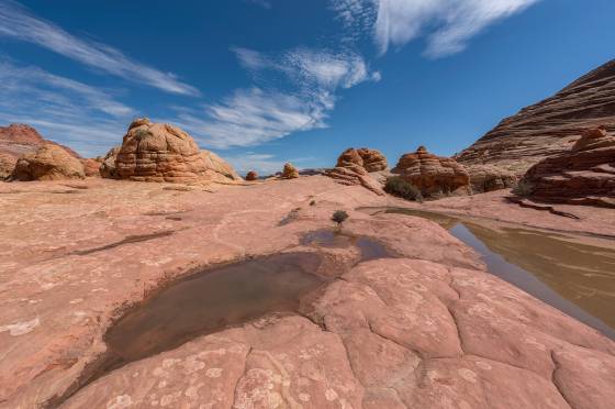 Water Pools 4 Water Pools south of The Wave in Coyote Buttes North, Arizona