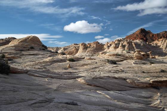 Navajo Sandstone 2 Navajo Sandstone on Top Rock in Coyote Buttes North
