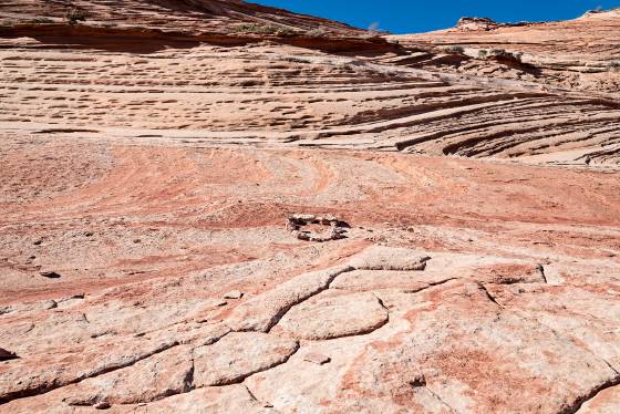 Dinosaur Tracks In their setting Dinosaur tracks in Coyote Buttes North, Arizona