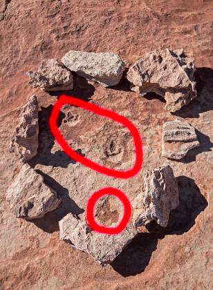 Rock circle around best tracks Dinosaur tracks in Coyote Buttes North, Arizona