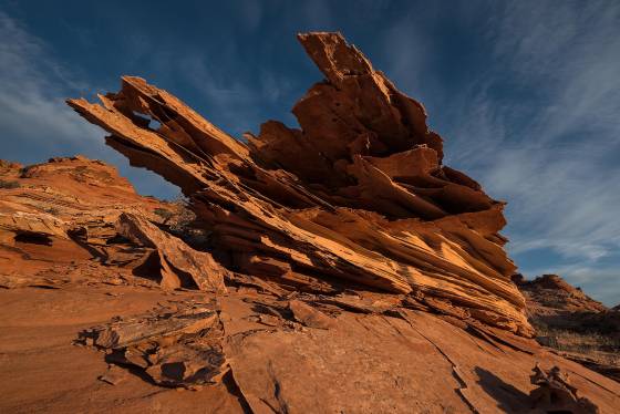 Lace Rock at Dawn Lace (fin) rocks on the west side of Coyote Buttes North