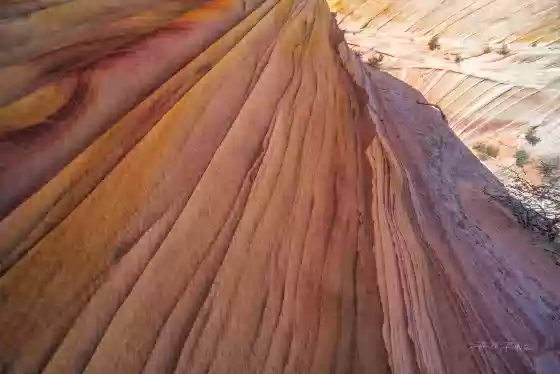 Rainbow Cove 3 Rainbow Cove in Coyote Buttes South, Vermilion Cliffs NM