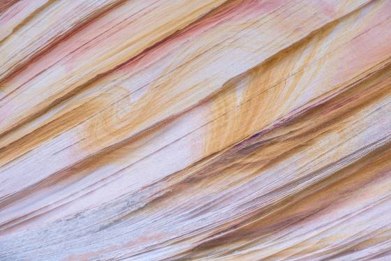 Wall in Rainbow Cove 4 Rainbow Cove in Coyote Buttes South, Vermilion Cliffs NM