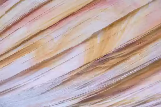 Wall in Rainbow Cove 4 Rainbow Cove in Coyote Buttes South, Vermilion Cliffs NM