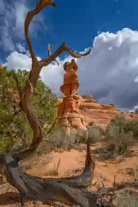 The Chess Queen The Chess Queen formation outside the Coyote Buttes South permit area, best late day