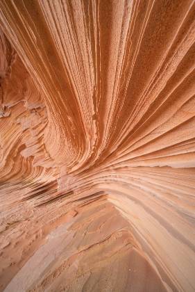 Southern Alcove Wall 1 The Southern Alcove in Coyote Buttes South, Arizona