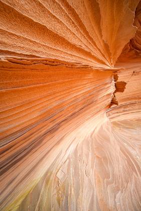 Southern Alcove Wall 2 The Southern Alcove in Coyote Buttes South, Arizona