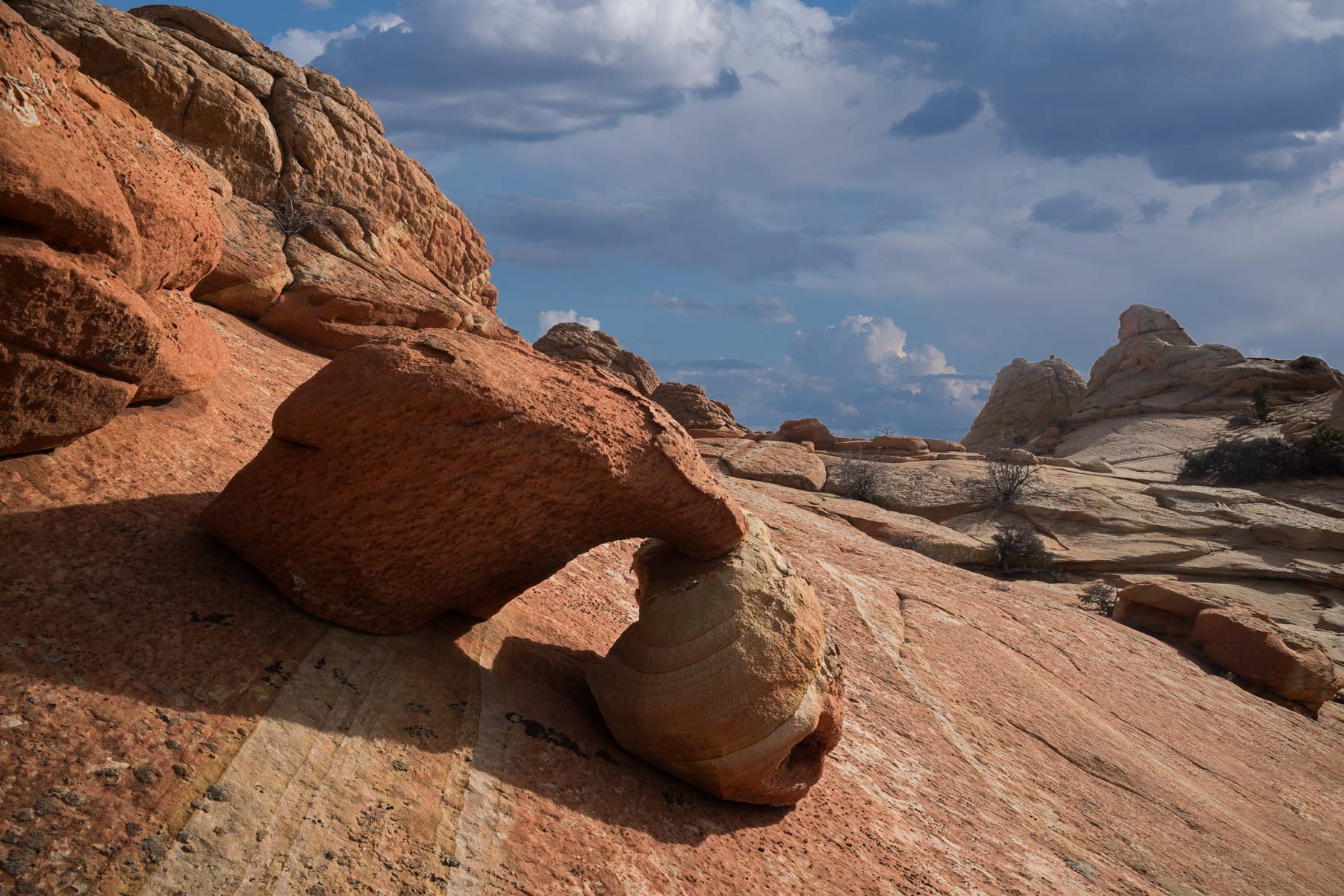Rock formation near Half and Half in Cottonwood Cove