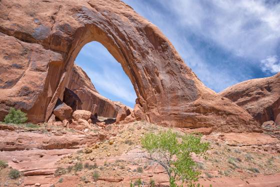 Broken Bow Arch Broken Bow Arch seen from the bench across Willow Creek