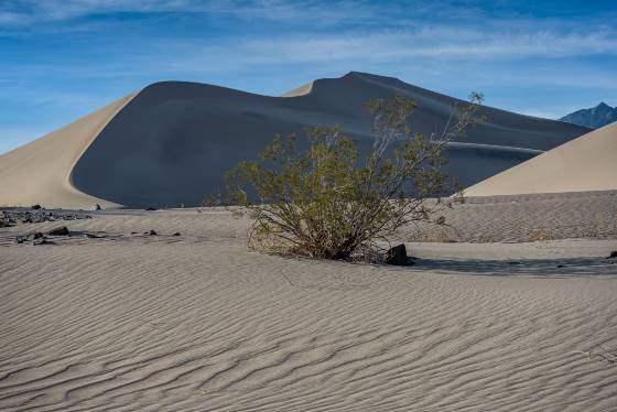 Ibex Dunes 6 Ibex Dunes in Death Valley National Park, California