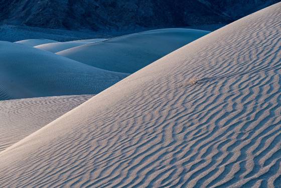 Blue Dune Mesquite Dunes in Death Valley National Park, California