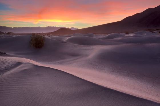 Blue Hour 2 Mesquite Dunes in Death Valley National Park, California