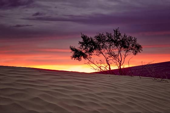 Blue Hour 4 Mesquite Dunes in Death Valley National Park, California