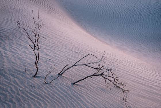 Blue Hour Mesquite Dunes in Death Valley National Park, California