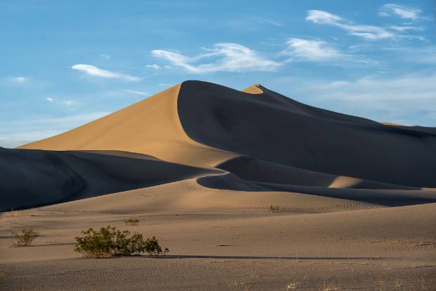 Ibex Dunes