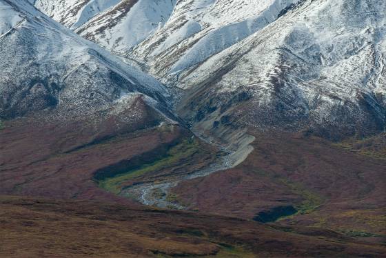 Early Snow in the Foothills Early Snow in the Foothills in Denali National Park