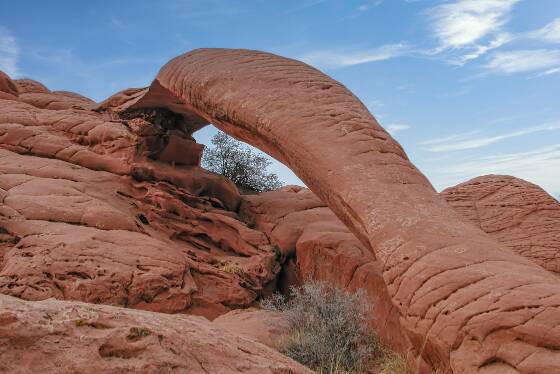 Cobra Arch 1 Cobra Arch in Utah